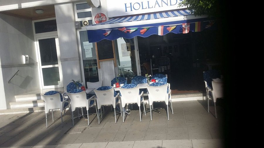 Hollands Glorie — photo 3