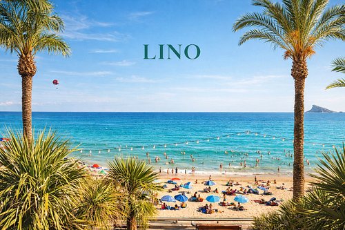 Lino Mediterranean Bistrot & Wine Bar — photo 2