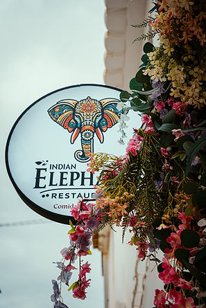 Indian Elephant — photo 2