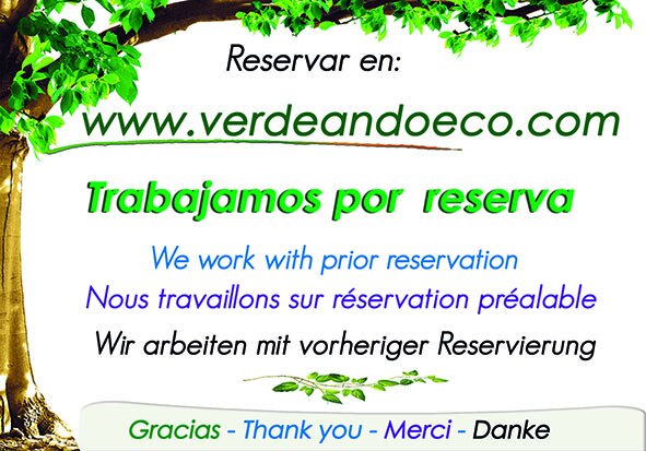 Verdeando Eco
