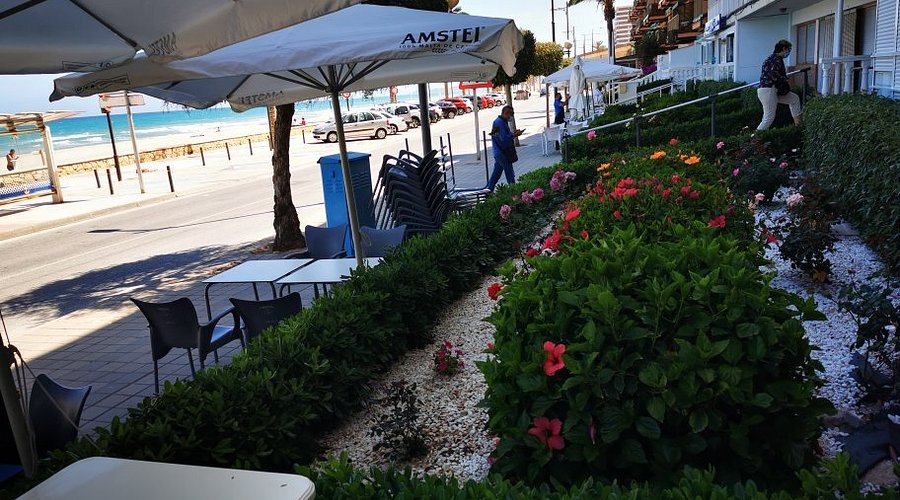 Restaurante Cerveceria Playa